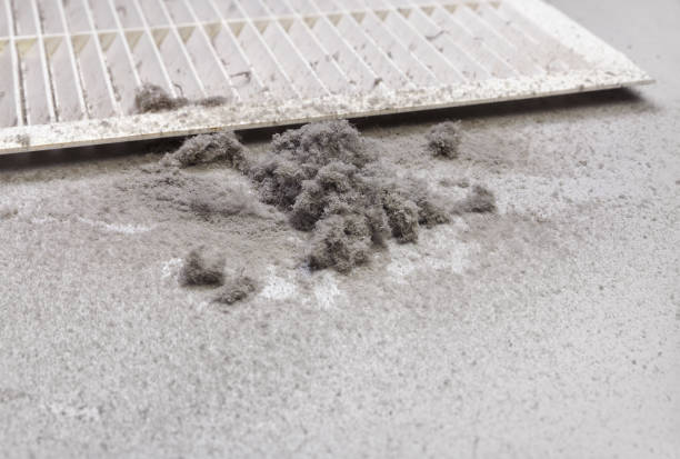 Best Air Duct Cleaning Near Me  in Bolivar, WV