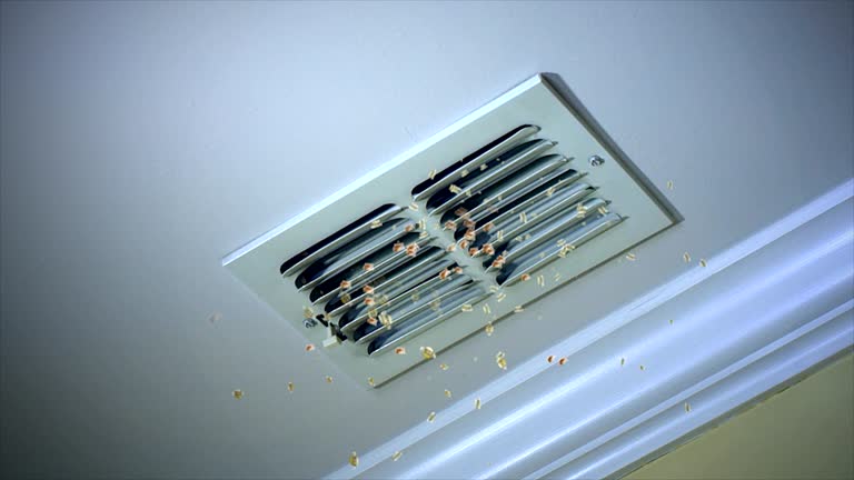 Best Home Air Vent Cleaning  in Bolivar, WV